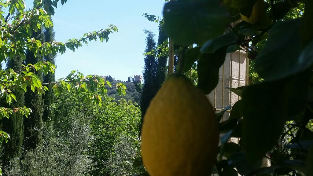 Tenuta Il Tresto Poggibonsi Exterior foto
